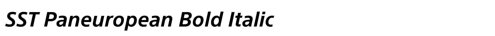 SST Paneuropean Bold Italic image